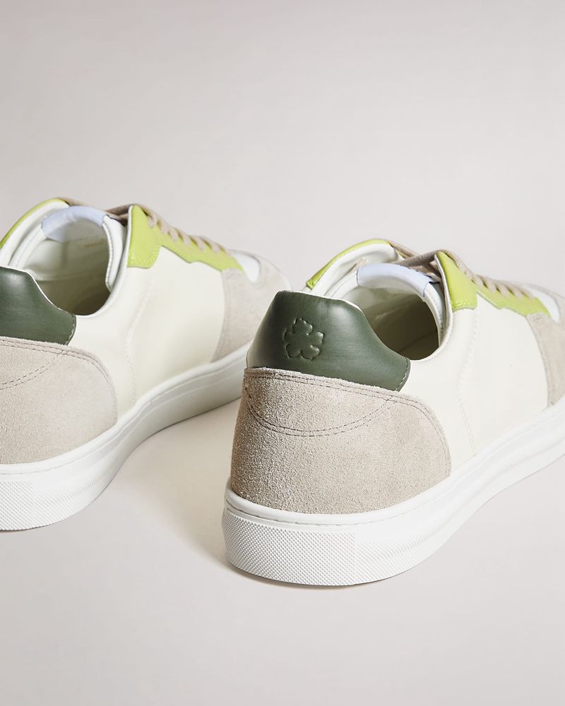 Ted Baker Brent Retro Cupsole Leathers Sneakers Herr Gula Gröna | GMP-427130