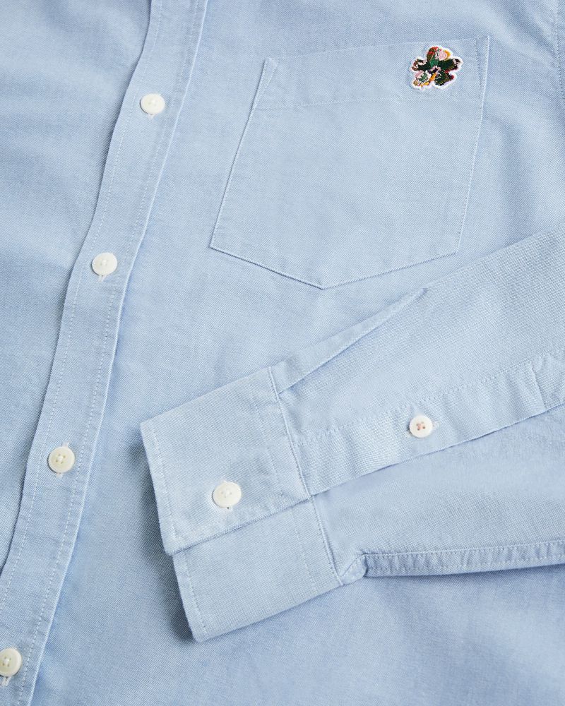 Ted Baker Caplet Long Sleeve Oxford Skjorta Herr Blå | LJB-897216