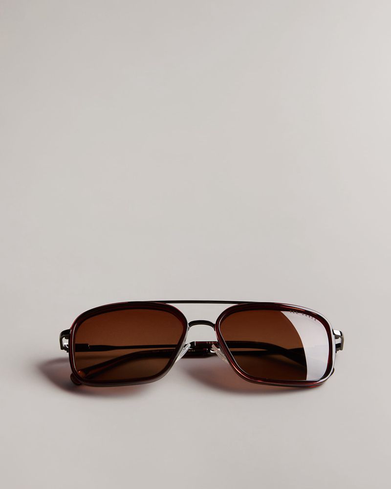 Ted Baker Coasst Tms090 Combination Navigator Solglasögon Herr Bruna | KRV-714560