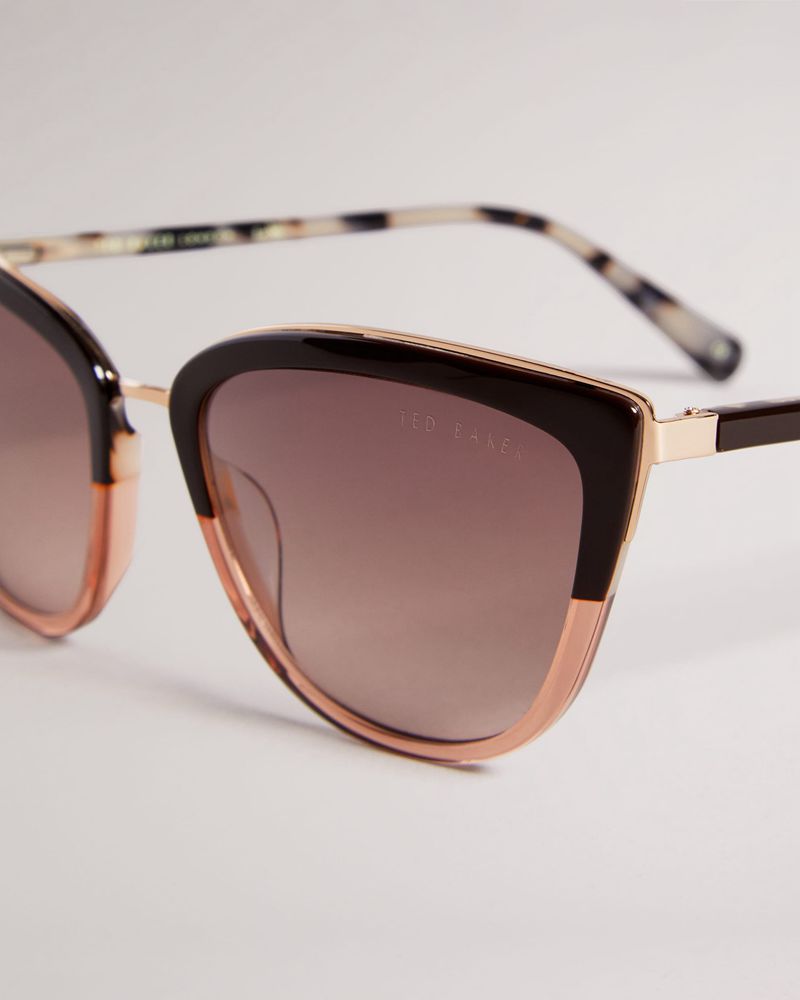 Ted Baker Cynth Tws161 Combination Cat Eye Solglasögon Dam Bruna | BZT-902485