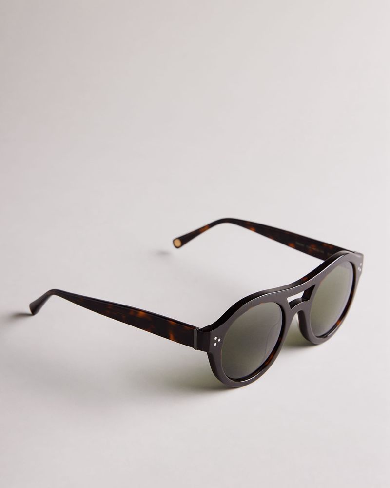 Ted Baker Divve Tms095 Plastic Tjock Round Solglasögon Herr Bruna | PJI-971643