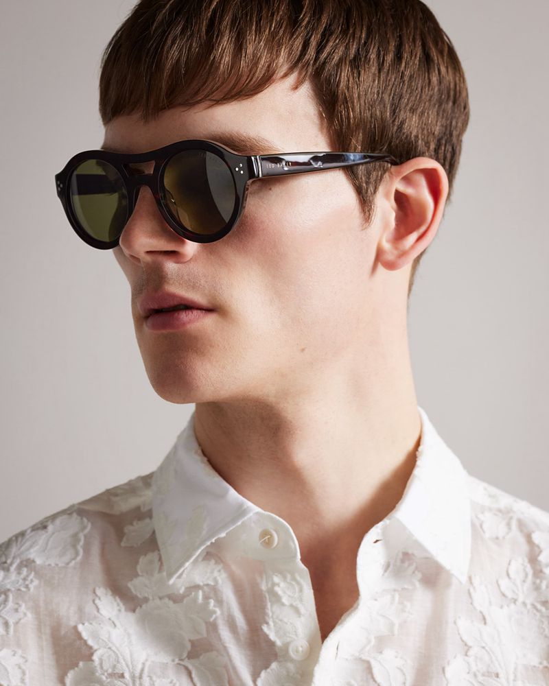 Ted Baker Divve Tms095 Plastic Tjock Round Solglasögon Herr Bruna | PJI-971643