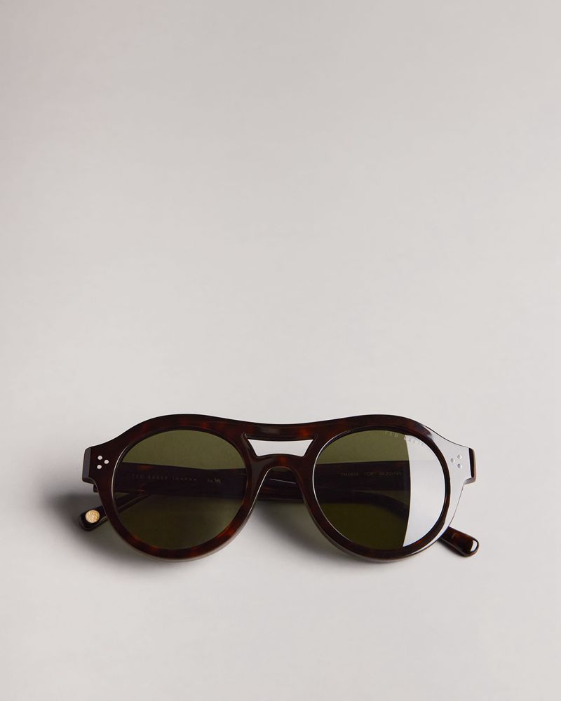 Ted Baker Divve Tms095 Plastic Tjock Round Solglasögon Herr Bruna | PJI-971643