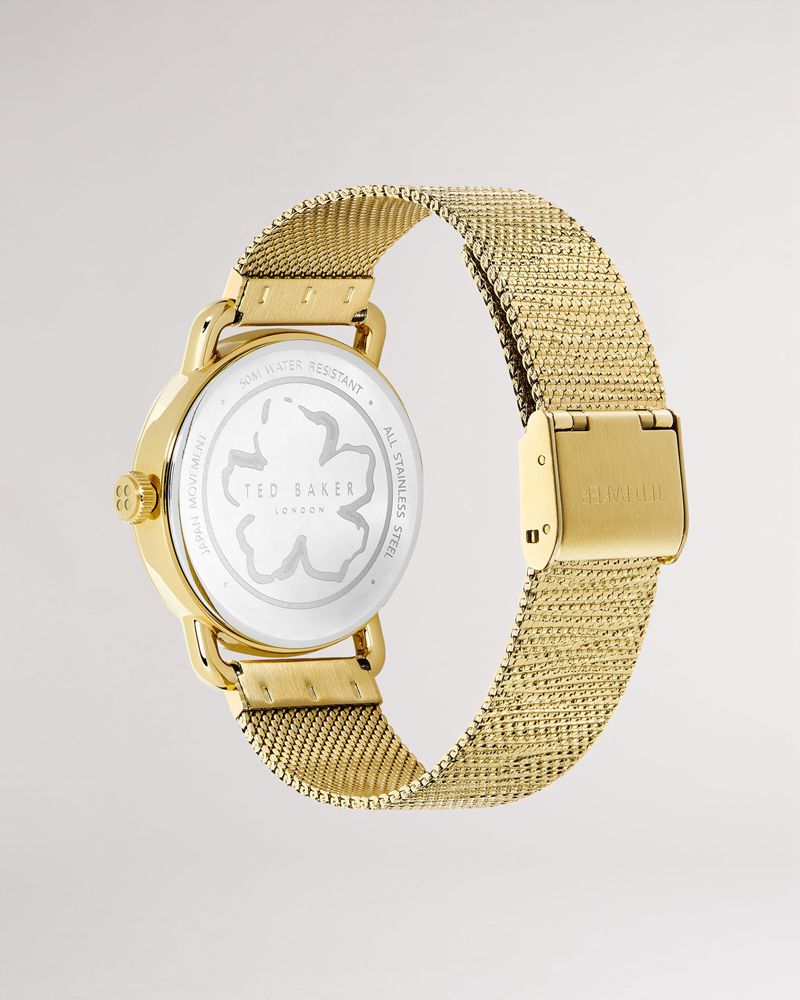 Ted Baker Hariate Mesh Rem Klocka Dam Guld | SAR-380127