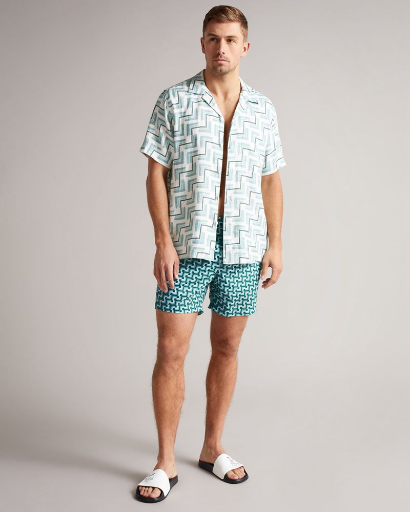 Ted Baker Harlley Geo Swim Badkläder Herr Gröna | LYD-891657