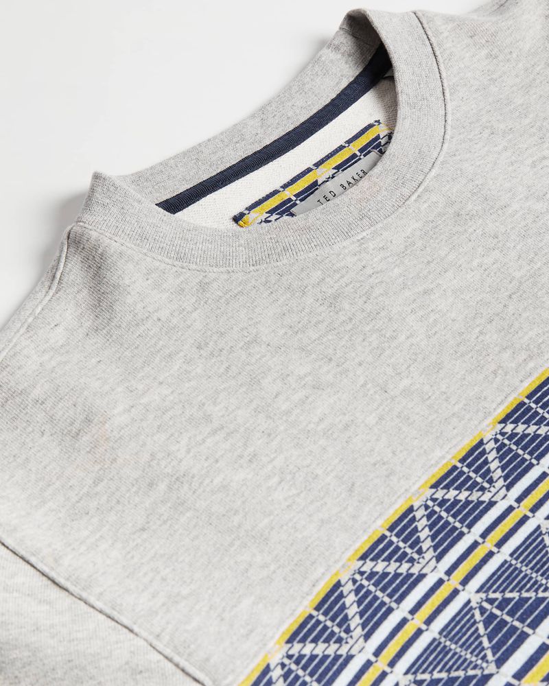 Ted Baker Kinfish With Printed Chest Panel Tröjor Herr Gray | PQS-412359