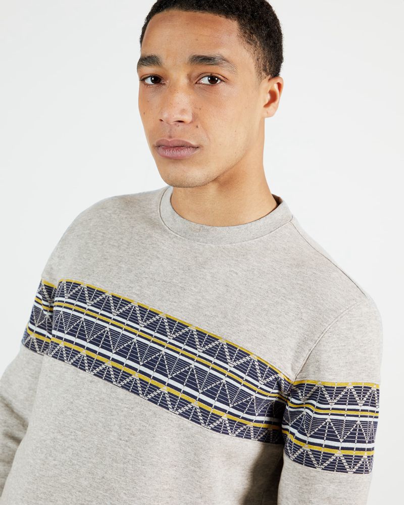 Ted Baker Kinfish With Printed Chest Panel Tröjor Herr Gray | PQS-412359