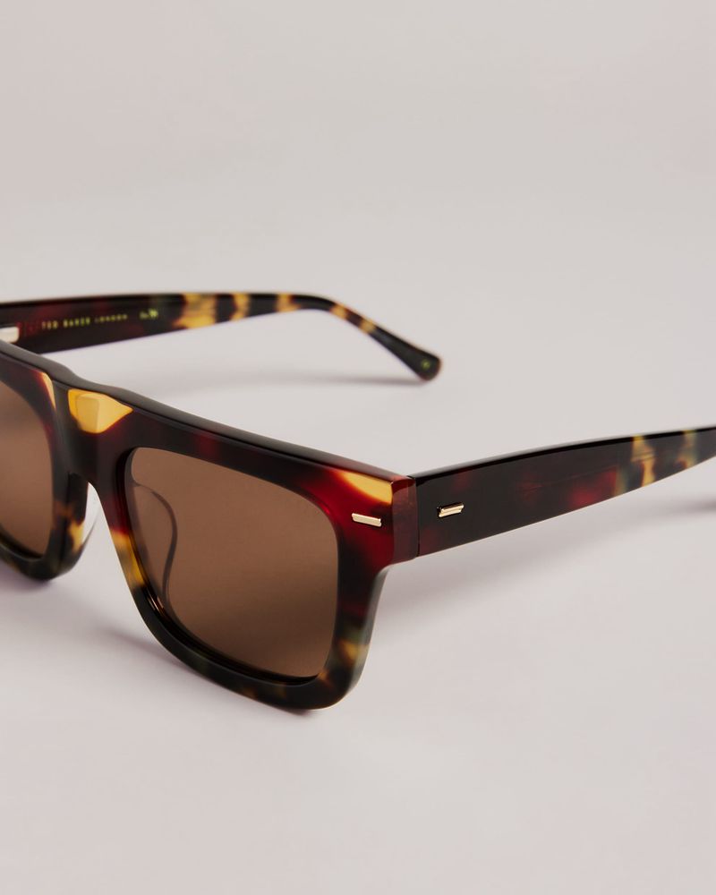 Ted Baker Kyak Tms091 Square Solglasögon Herr Bruna | EZR-109728