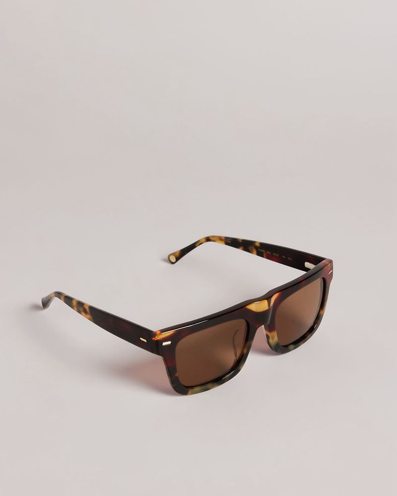 Ted Baker Kyak Tms091 Square Solglasögon Herr Bruna | EZR-109728
