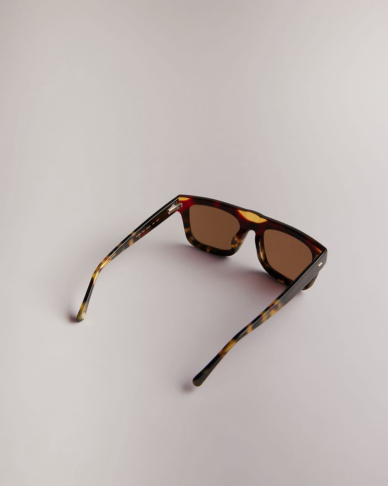 Ted Baker Kyak Tms091 Square Solglasögon Herr Bruna | EZR-109728