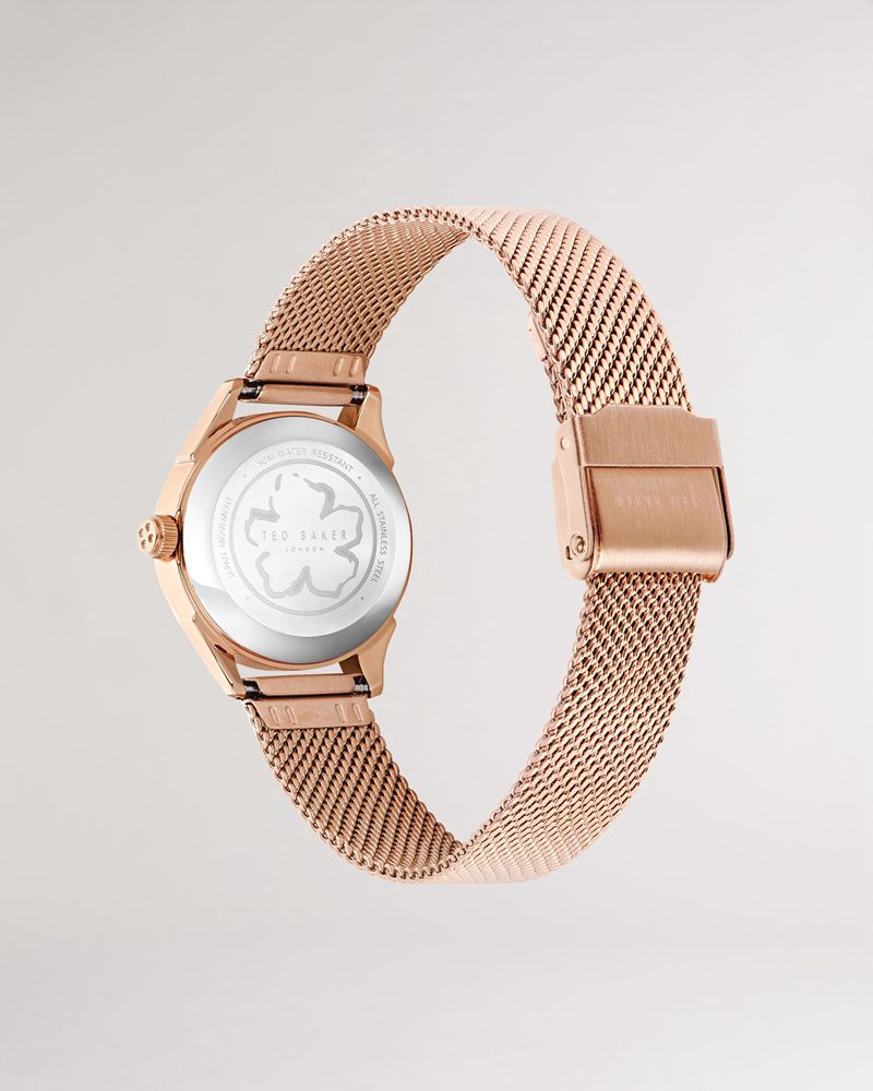 Ted Baker Lucyia Mesh Rem Klocka Dam Rosegold | VJA-093786