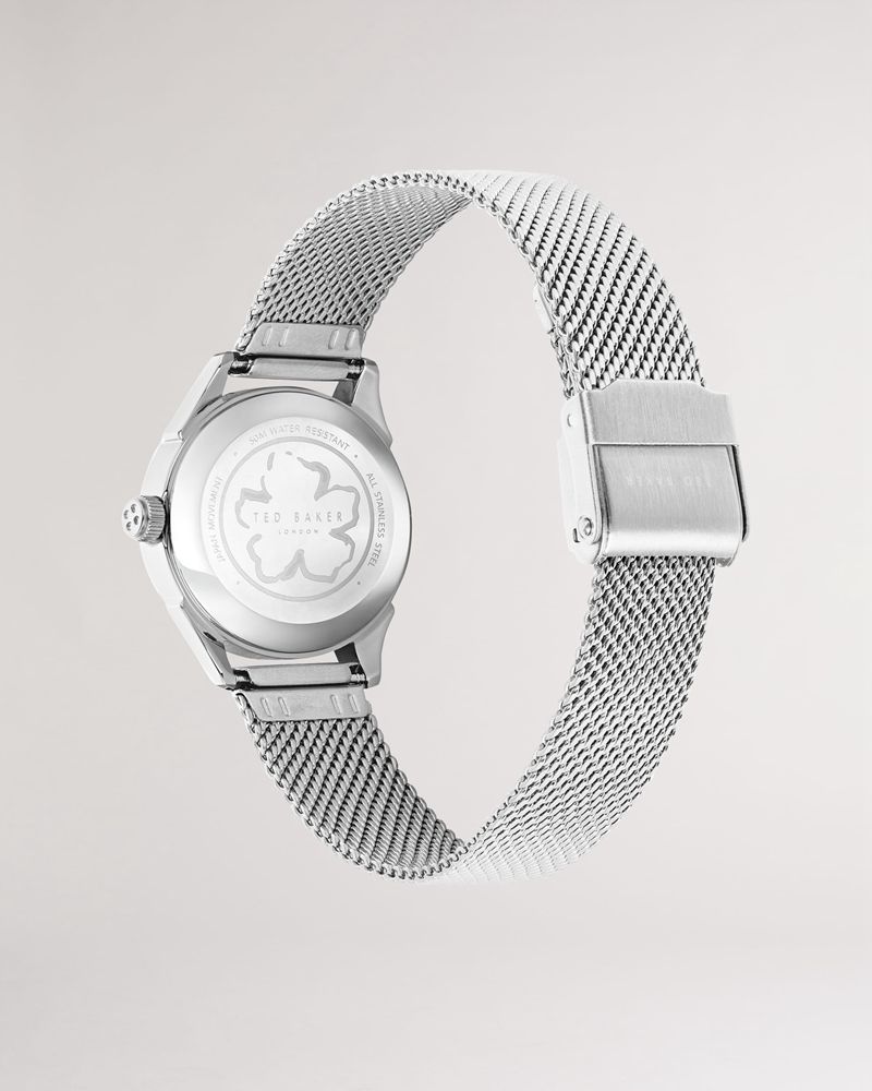 Ted Baker Lucyii Mesh Rem Klocka Dam Silver | RNZ-913760