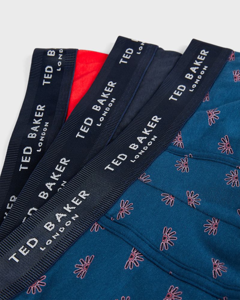 Ted Baker Ornge Rtbc102a31 3 Pack Mode Bomull Trunks Underkläder Herr Olika Färger | OKU-209573