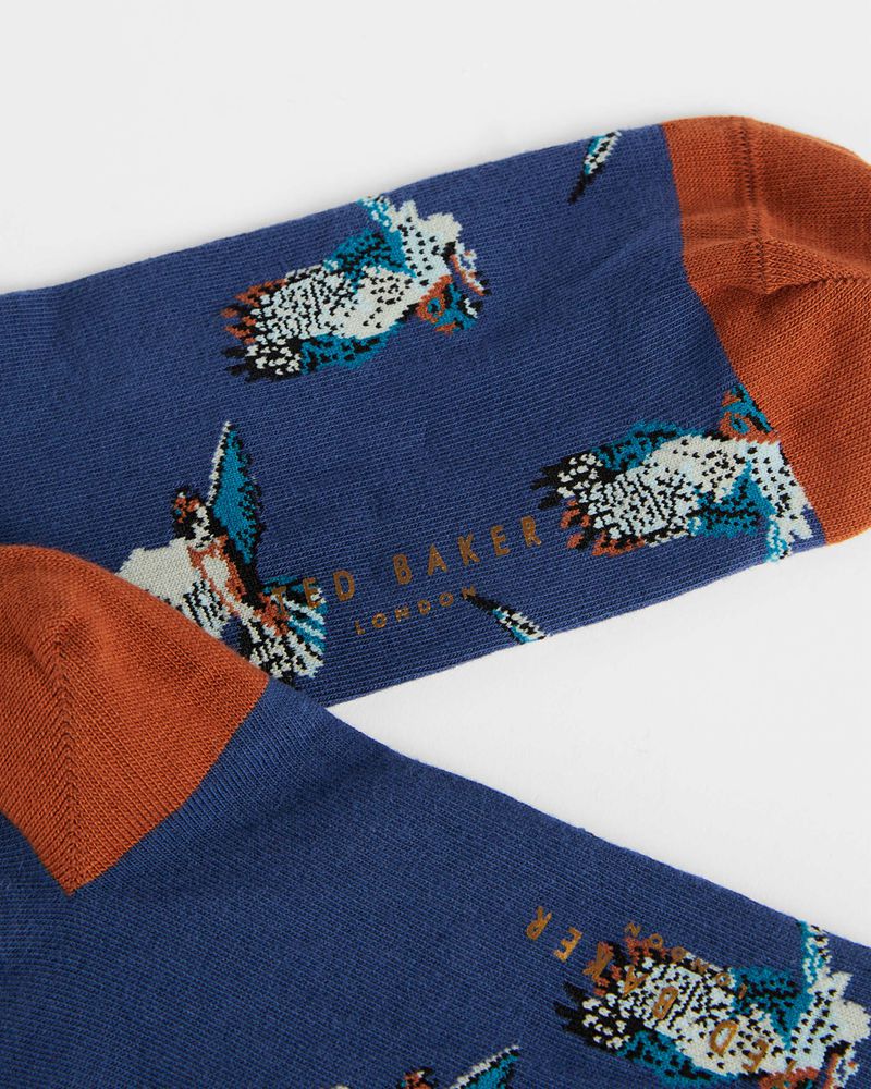 Ted Baker Ratpack Bird Pattern Strumpor Herr Blå | QJG-024736