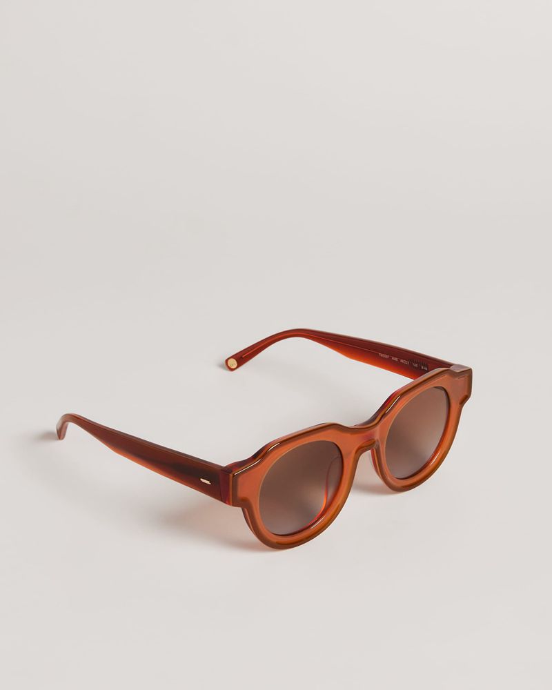 Ted Baker Swwim Tms097 Modified Round Clear Solglasögon Herr Orange | FOC-923708