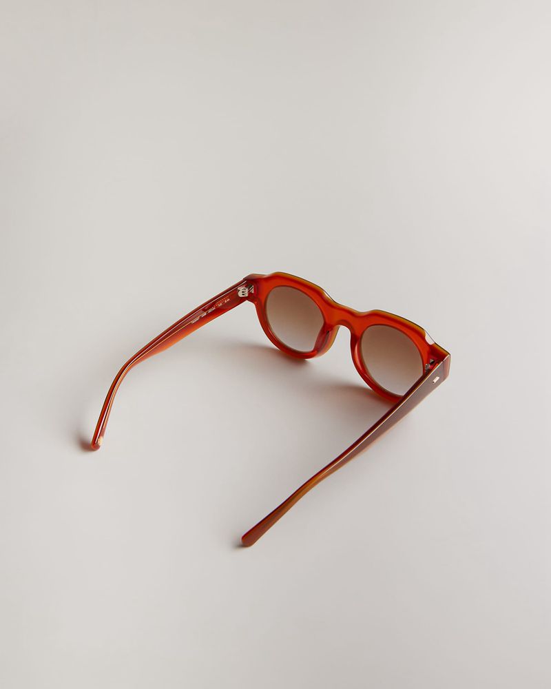 Ted Baker Swwim Tms097 Modified Round Clear Solglasögon Herr Orange | FOC-923708