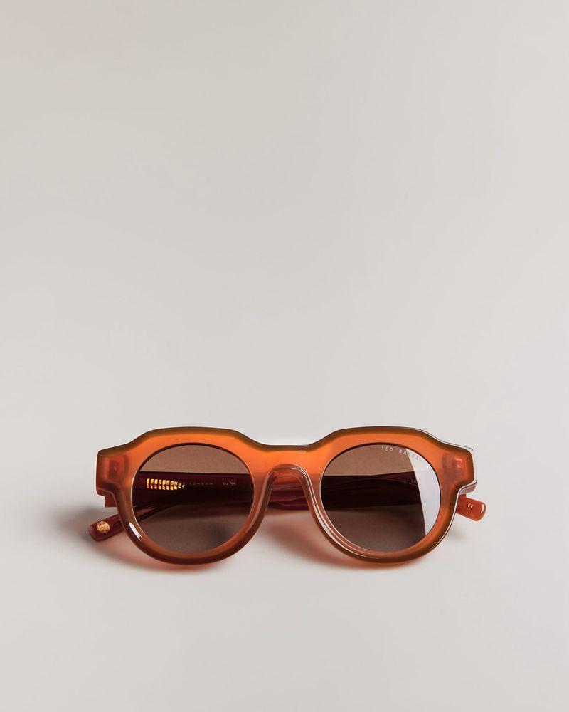 Ted Baker Swwim Tms097 Modified Round Clear Solglasögon Herr Orange | FOC-923708