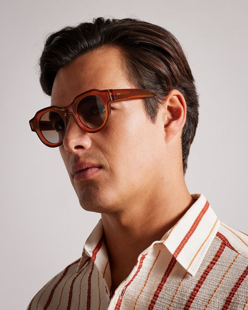 Ted Baker Swwim Tms097 Modified Round Clear Solglasögon Herr Orange | FOC-923708