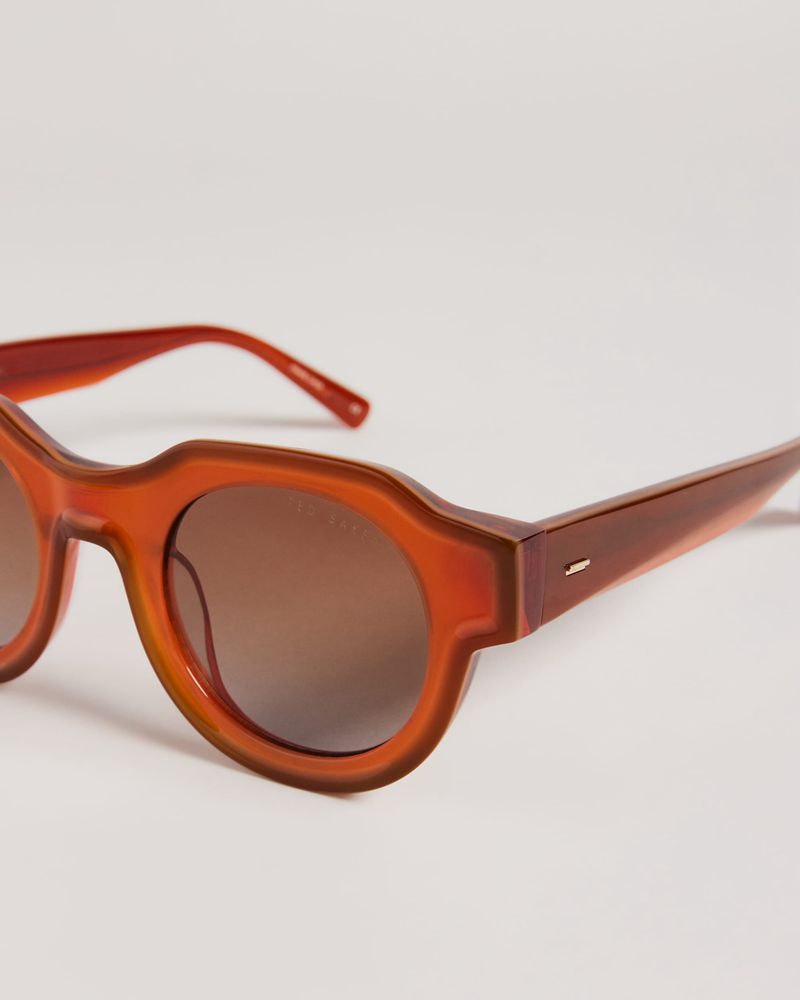 Ted Baker Swwim Tms097 Modified Round Clear Solglasögon Herr Orange | FOC-923708