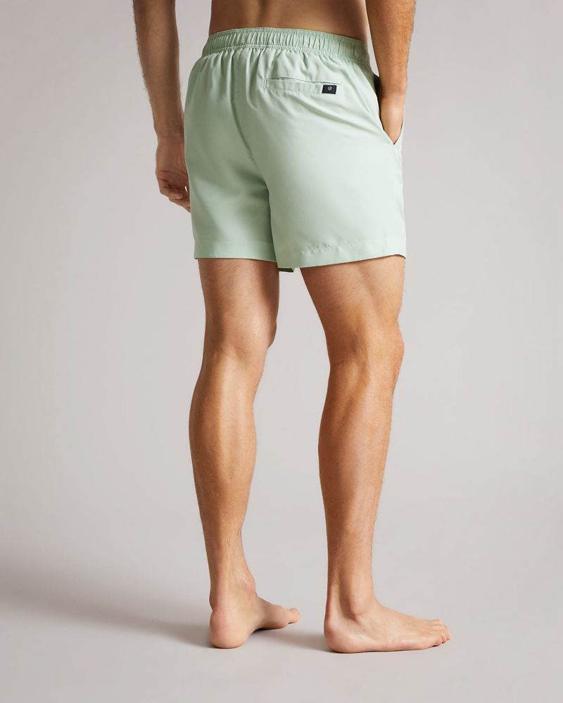 Ted Baker Trehil Plain Badkläder Herr Gröna | LRX-612350